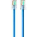 Belkin Cat5e Patch Cable - RJ-45 Male Network - RJ-45 Male Network - 1ft - Blue - eCommerce Business Prime