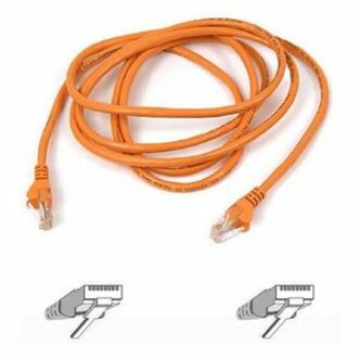 Belkin Cat5e Patch Cable - RJ-45 Male Network - RJ-45 Male Network - 14ft - Orange - A3L791-14-ORG-S - eCommerce Business Prime