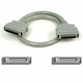 Belkin Pro Series SCSI-2 Cable - DB-50 Male - DB-50 Male - 20ft - F2N968-20 - eCommerce Business Prime