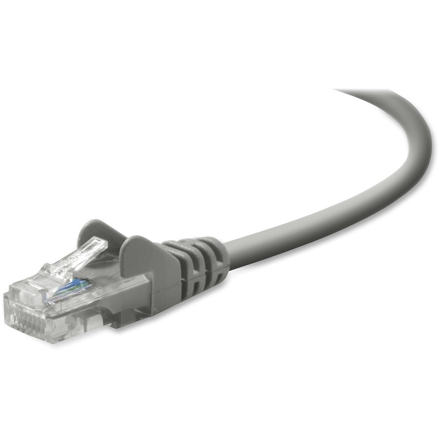 Belkin Cat5e Network Cable - RJ-45 Male Network - RJ-45 Male Network - 100ft - Gray - A3L791-100 - eCommerce Business Prime
