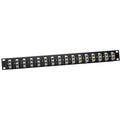 Tripp Lite 16-Port Fiber Patch Panel 62.5/125 or 50/125 SC/SC 1URM - 16 x SC - N490-016-SCSC - eCommerce Business Prime