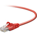 Belkin Cat. 5e Patch Cable - RJ-45 Male - RJ-45 Male - 7ft - Red - A3L791B07-RED-S - eCommerce Business Prime