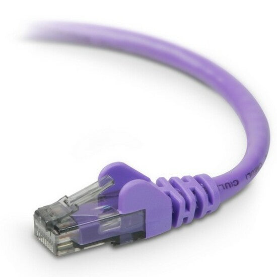 Belkin Cat. 6 UTP Patch Cable - RJ-45 Male - RJ-45 Male - 1ft - Purple - A3L980-01-PUR-S - eCommerce Business Prime