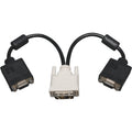 Tripp Lite 1ft DVI to VGA Splitter Adapter Converter DVI-A Analog M to 2x HD15F 1' - (DVI-I-M to 2x HD15-F) 1-ft - P120-001-2 - eCommerce Business Prime