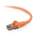 Belkin Cat. 6 Patch Cable - RJ-45 Male - RJ-45 Male - 1ft - Orange - A3L980-01-ORG-S - eCommerce Business Prime