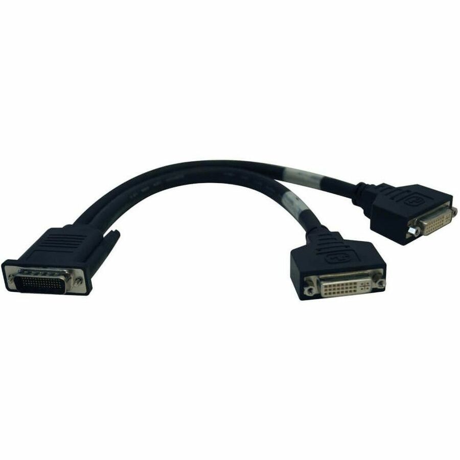 Tripp Lite 1ft DMS-59 Graphics Card to Dual DVI Splitter Y Cable M/Fx2 - (M to 2x DVI-I F) 1-ft. - P576-001 - eCommerce Business Prime
