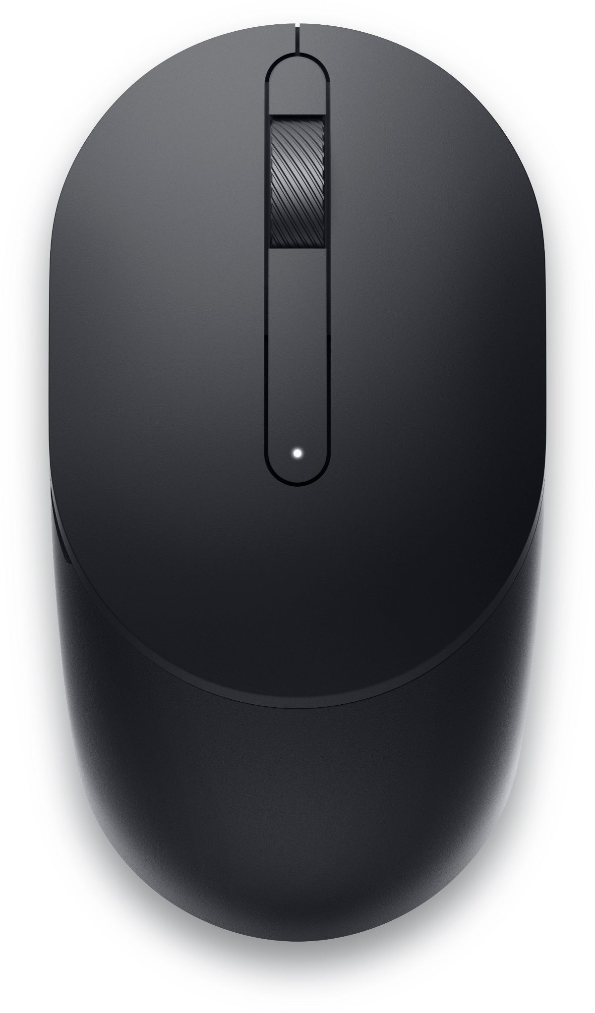 Black computer mouse on a white background
