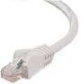 Belkin Cat6 Patch Cable - RJ-45 Male - RJ-45 Male - 3ft - Blue - A3L9002-03-BLUS - eCommerce Business Prime