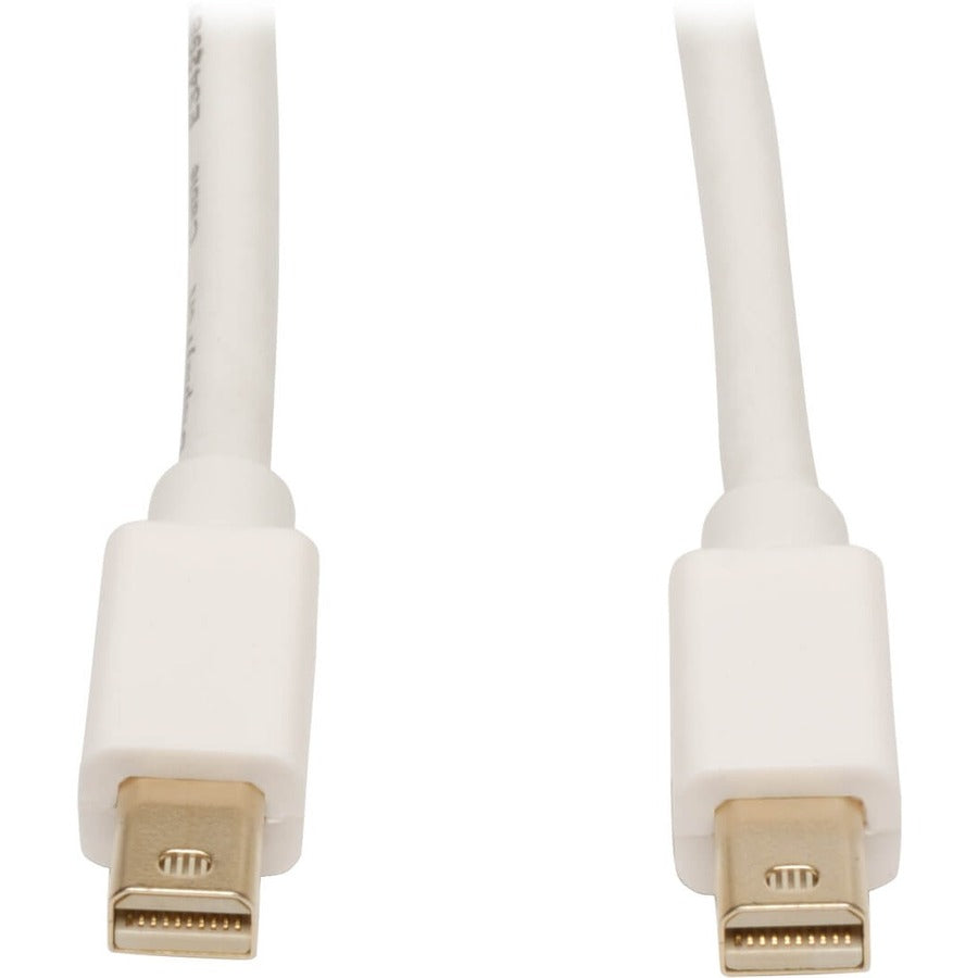 Tripp Lite 10ft Mini DisplayPort to Mini DisplayPort Adapter Converter mDP to mDP 4K x 2K @ 60Hz M/M - DisplayPort for Audio/Video Device, Monitor, Notebook - 10 ft - 1 x Mini DisplayPort Male Thunder...  - P584-010 - eCommerce Business Prime