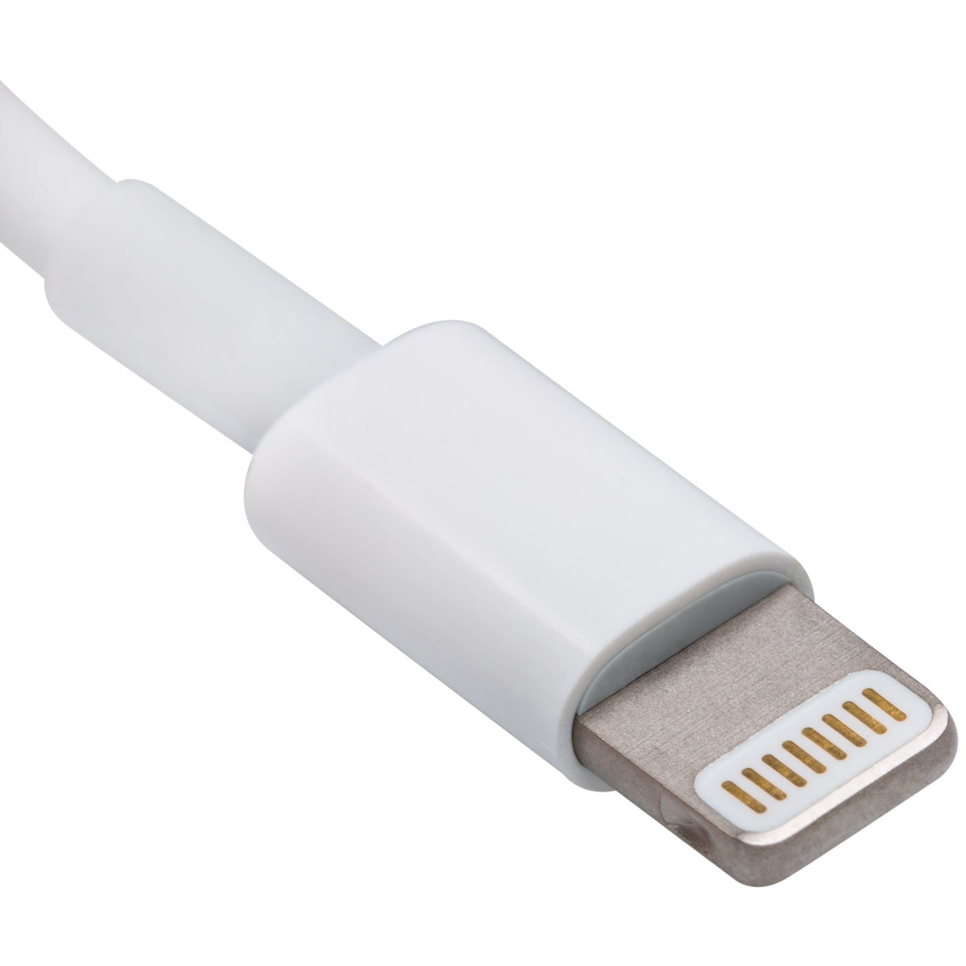 4XEM 3Ft 1M charging data and sync Cable For Apple iphone 5 5s 6 6s 6plus 7 7plus, iPhone X, 8 8plus - 8pin Lightning to USB data sync cable forApple iPad, iPhone, iPod 3 ft 1 x Lightning Male Proprie...  - 4XUSB2APPLI5 - eCommerce Business Prime
