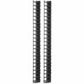 APC by Schneider Electric Vertical Cable Manager for NetShelter SX 600mm Wide 48U (Qty 2) - Cable Manager - Black - 2 Pack - 48U Rack Height - AR7723 - eCommerce Business Prime