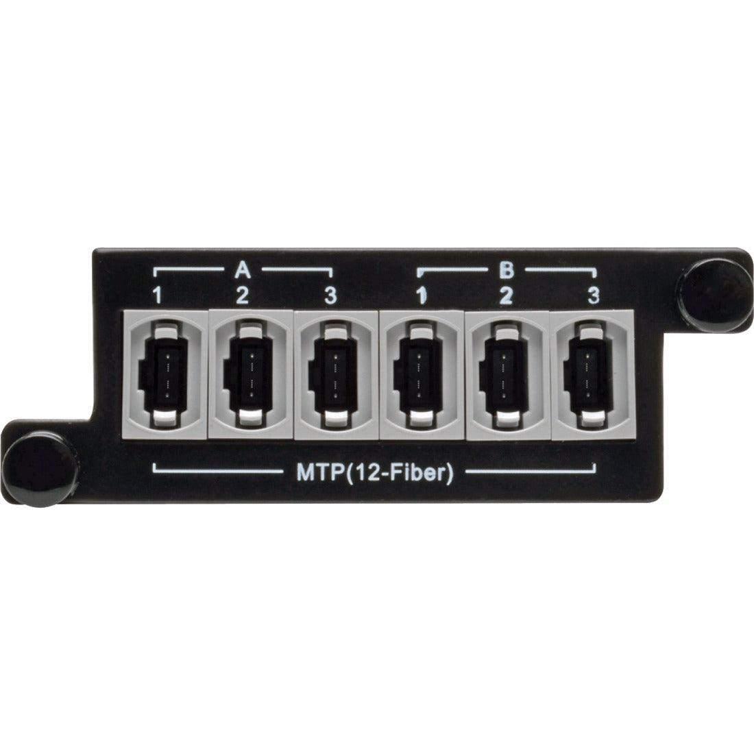 Tripp Lite 2 x 24 Fiber MTP/MPO to 6 x 12 Fiber MTP/MPO Breakout Cassette - MTP/MPO Breakout Cassette - N482-2M24-6M12 - eCommerce Business Prime