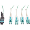 Tripp Lite Fan-out Cable Push / Pull Tab MTP/MPO to 8 x LC 40Gbase OM3 Plenum Aqua 3M 10ft 10' 3 Meter - 10 ft Fiber Optic Network Cable for Network Device - First End: MTP Network - Second End: 8 x L...  - N844-03M-8LC-PT - eCommerce Business Prime