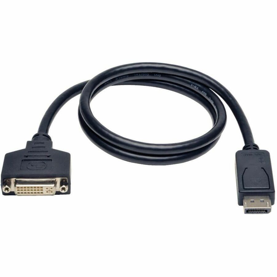 Tripp Lite DisplayPort to DVI Adapter Video Converter DP to DVI-I M/F 3ft - 3 ft DisplayPort/DVI Video Cable for Monitor, Video Device - First End: 1 x DisplayPort Digital Audio/Video - Male - Second ...  - P134-003 - eCommerce Business Prime