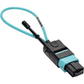 Tripp Lite MTP / MPO Fiber Optic Loopback Tester Multimode 50/125um OM3 - l - Loopback Testing - Optical Fiber - 40 Gigabit Ethernet - N844-LOOP-12F - eCommerce Business Prime