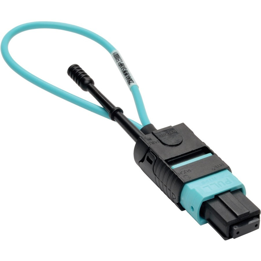 Tripp Lite MTP / MPO Fiber Optic Loopback Tester Multimode 50/125um OM3 - l - Loopback Testing - Optical Fiber - 40 Gigabit Ethernet - N844-LOOP-12F - eCommerce Business Prime