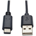 Tripp Lite 3ft USB 2.0 Hi-Speed Cable A Male to USB Type-C USB-C Male 3' - USB for Ultrabook, Computer, Notebook - 60 MB/s - 3 ft - 1 x Type A Male USB - 1 x Type C Male USB - Gold-plated Contacts, Ni...  - U038-003 - eCommerce Business Prime