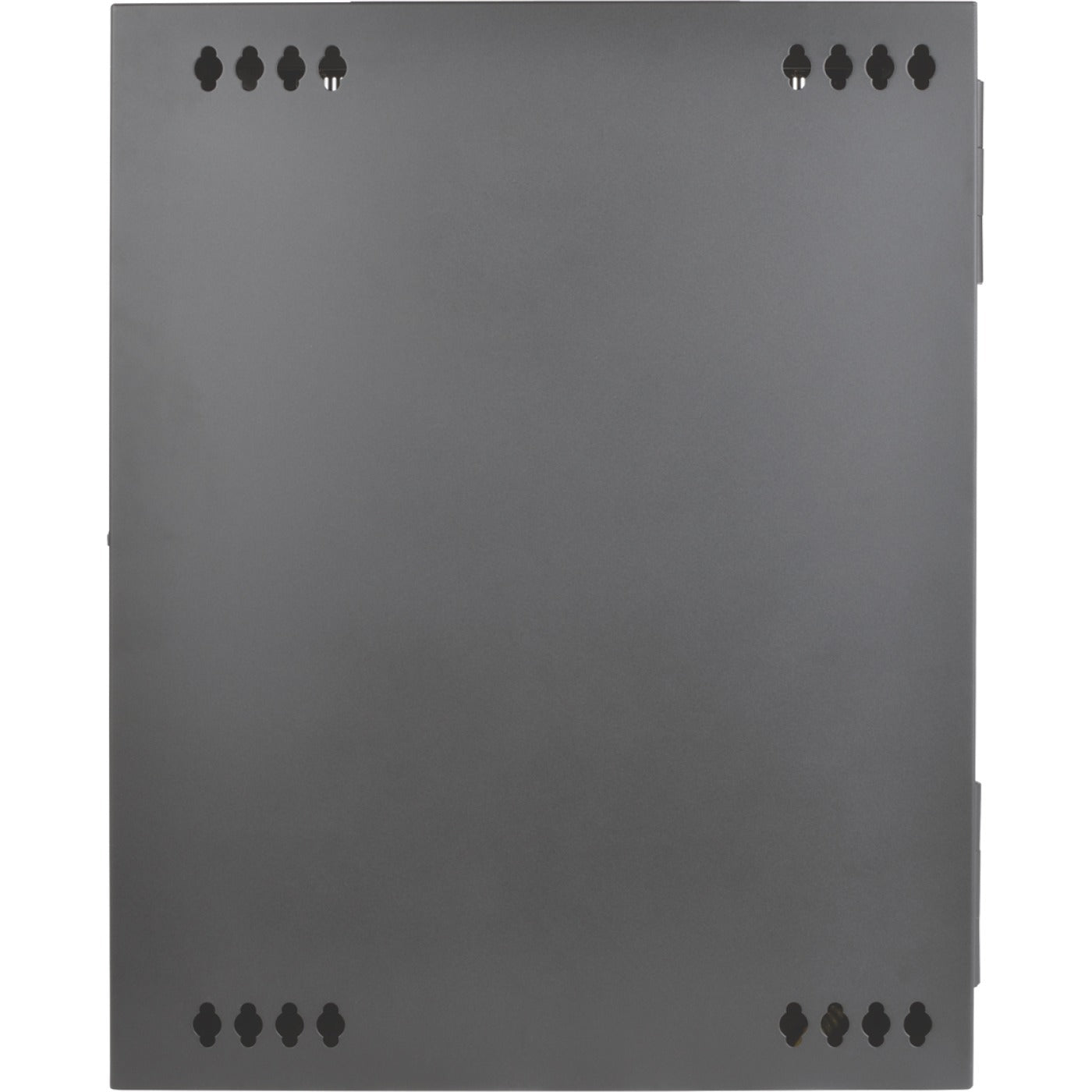 Tripp Lite 15U Wall Mount Rack Enclosure Server Cabinet w Hinged Acrylic Window - For LAN Switch, Patch Panel - 15U Rack Height x 19" Rack Width x 10.42" Rack Depth - Wall Mountable - Black Powder Coa - SRW15USG - eCommerce Business Prime
