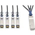 Tripp Lite 40GbE QSFP+ to 10GbE SFP+ Passive Copper Breakout Cable QSFP-4SFP10G Compatible 3M 10' - QSFP+/SFP+ for Network Device, Switch, Server - 5 GB/s - 9.84 ft - 1 x QSFP+ Male Network - 4 x SFP+...  - N281-03M-BK - eCommerce Business Prime