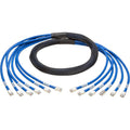 Tripp Lite 10ft Augmented Cat6 Cat6a Pre-Terminated Copper Trunk Bundle 6xRJ45 M/M 10' - 10 ft Category 6a Network Cable for Network Device, Switch, Patch Panel - First End: 6 x RJ-45 Network - Male -...  - N261-010-6MM-BL - eCommerce Business Prime