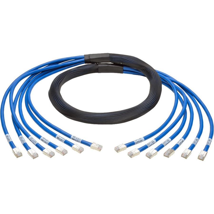 Tripp Lite 10ft Augmented Cat6 Cat6a Pre-Terminated Copper Trunk Bundle 6xRJ45 M/M 10' - 10 ft Category 6a Network Cable for Network Device, Switch, Patch Panel - First End: 6 x RJ-45 Network - Male -...  - N261-010-6MM-BL - eCommerce Business Prime