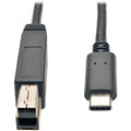 Tripp Lite 3ft USB 3.1 Gen 2 USB-C to USB-B Cable 10 Gbps M/M Fast Charging - USB for Smartphone, Hard Drive, Hub, Notebook, Tablet - 1.25 GB/s - 2.95 ft - 1 x Type C Male USB - 1 x Type B Male USB - ...  - U422-003-G2 - eCommerce Business Prime