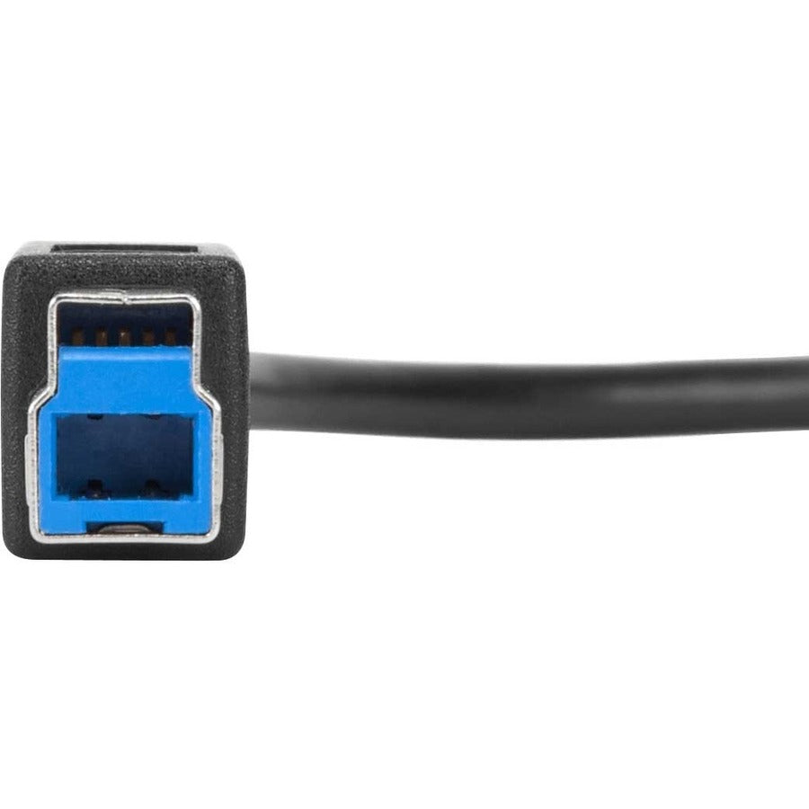 Targus 1-Meter USB-C to USB-B 5Gbps Cable - 3.28 ft USB-C/USB-B Data Transfer Cable for Docking Station, Tablet, Notebook, Peripheral Device, PC, MAC, Chromebook - First End: 1 x USB 3.0 Type C Male -...  - ACC924USX - eCommerce Business Prime
