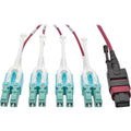 Tripp Lite 2M MTP MPO 8xLC 50/125 OM4 Fanout Patch Cable 12 Fiber 40GB CMP - Fiber Optic for Network Device, Switch - 5 GB/s - Fan-out Cable - 6.56 ft - 1 x MTP/MPO Female Network - 8 x LC Male Networ...  - N845-02M-8L-MG - eCommerce Business Prime