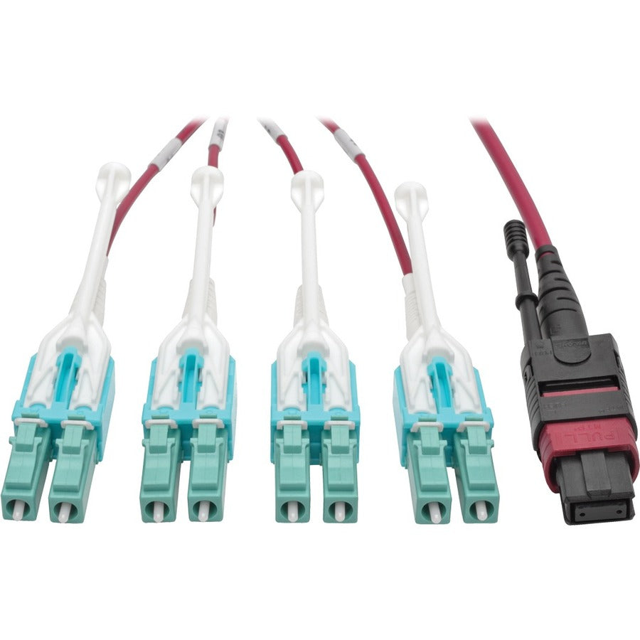 Tripp Lite 2M MTP MPO 8xLC 50/125 OM4 Fanout Patch Cable 12 Fiber 40GB CMP - Fiber Optic for Network Device, Switch - 5 GB/s - Fan-out Cable - 6.56 ft - 1 x MTP/MPO Female Network - 8 x LC Male Networ...  - N845-02M-8L-MG - eCommerce Business Prime