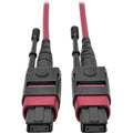 Tripp Lite 1M MTP MPO Multimode Patch Cable 12 Fiber 40/100Gb OM4 50/ 125 CMP - Fiber Optic for Network Device - 5 GB/s - Patch Cable - 3.28 ft - 1 x MTP/MPO Female Network - 1 x MTP/MPO Female Networ...  - N845-01M-12-MG - eCommerce Business Prime