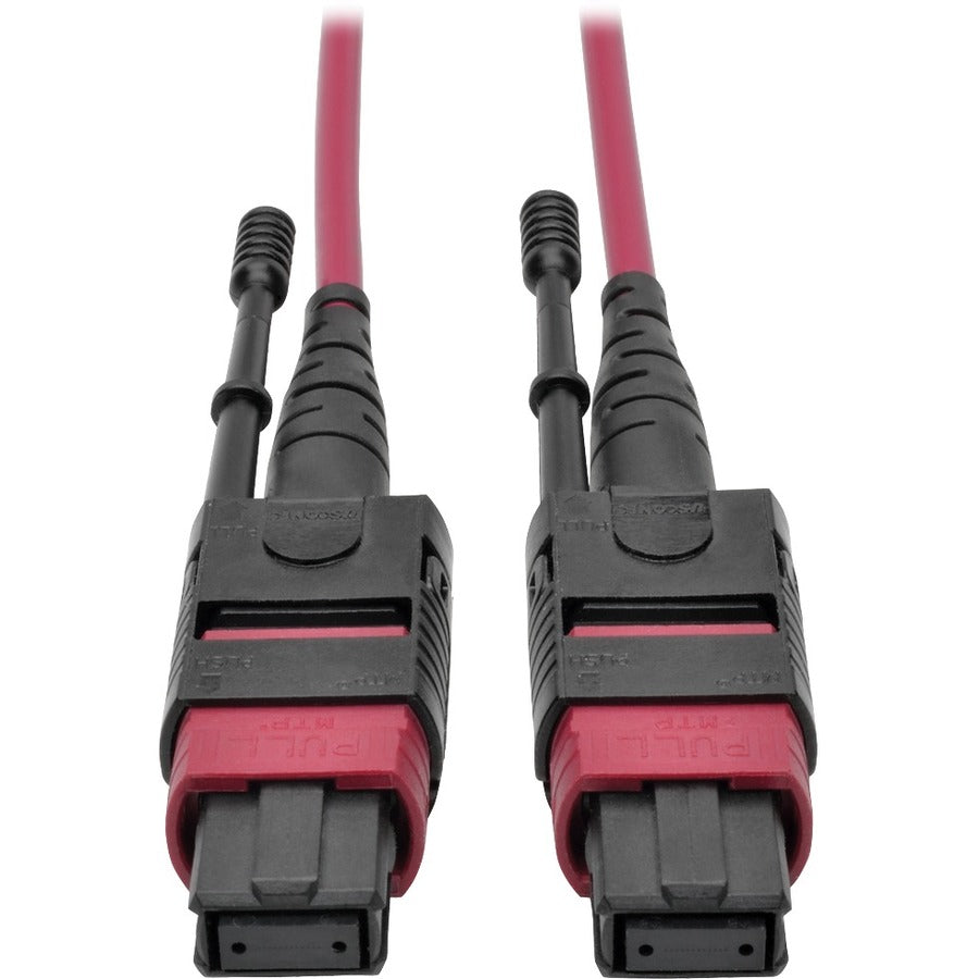 Tripp Lite 1M MTP MPO Multimode Patch Cable 12 Fiber 40/100Gb OM4 50/ 125 CMP - Fiber Optic for Network Device - 5 GB/s - Patch Cable - 3.28 ft - 1 x MTP/MPO Female Network - 1 x MTP/MPO Female Networ...  - N845-01M-12-MG - eCommerce Business Prime