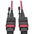 Tripp Lite 5M MTP MPO Multimode Patch Cable 12 Fiber 40/100Gb OM4 50/ 125 CMP - Fiber Optic for Network Device - 5 GB/s - Patch Cable - 16.40 ft - 1 x MTP/MPO Female Network - 1 x MTP/MPO Female Netwo...  - N845-05M-12-MG - eCommerce Business Prime