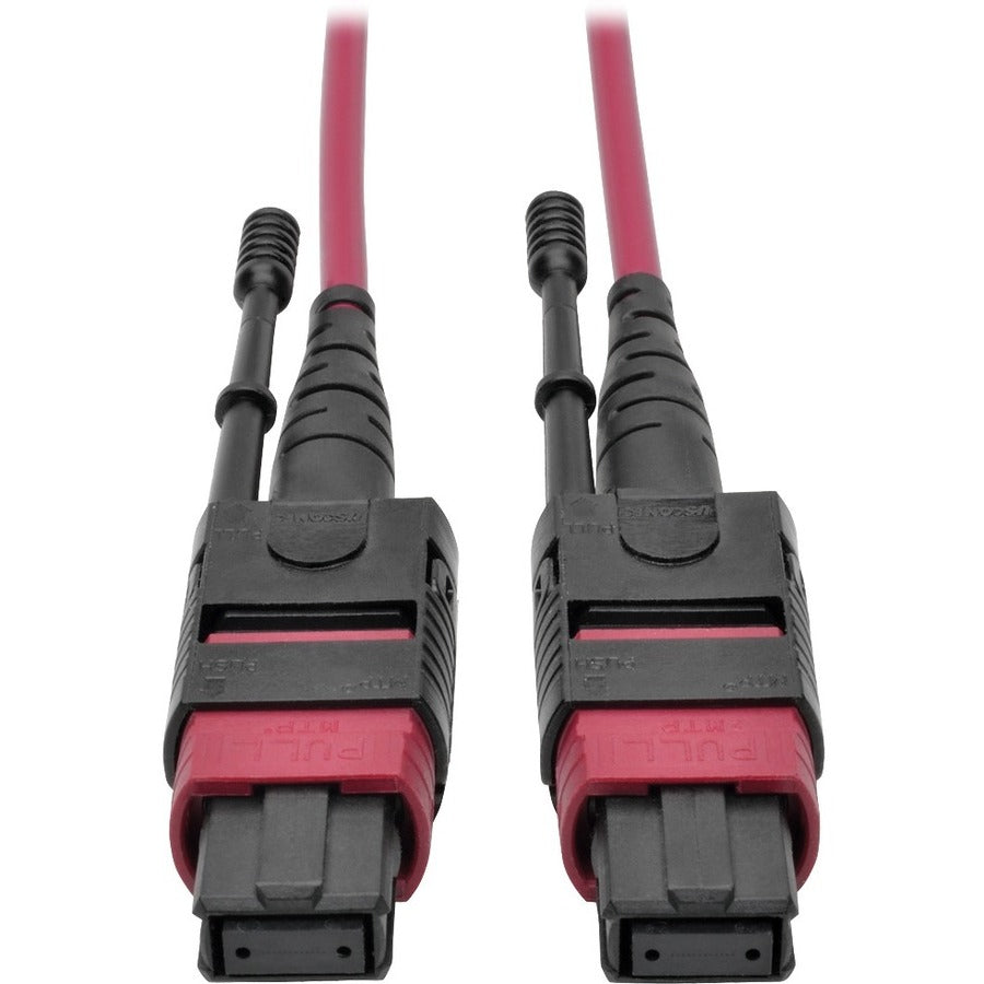 Tripp Lite 5M MTP MPO Multimode Patch Cable 12 Fiber 40/100Gb OM4 50/ 125 CMP - Fiber Optic for Network Device - 5 GB/s - Patch Cable - 16.40 ft - 1 x MTP/MPO Female Network - 1 x MTP/MPO Female Netwo...  - N845-05M-12-MG - eCommerce Business Prime