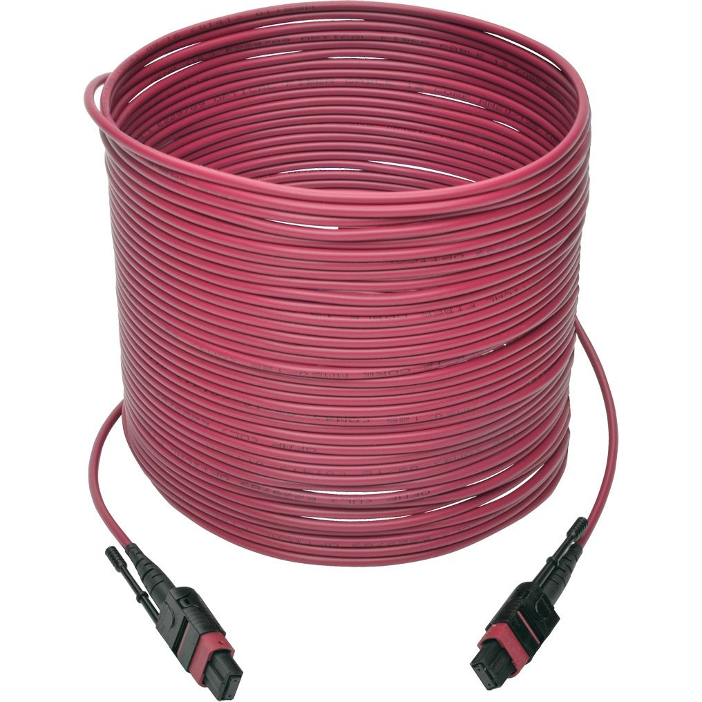 Tripp Lite 10M MTP MPO Multimode Patch Cable 12 Fiber 40/100Gb OM4 50/ 125 CMP - MMF 40/100gb - N845-10M-12-MG - eCommerce Business Prime