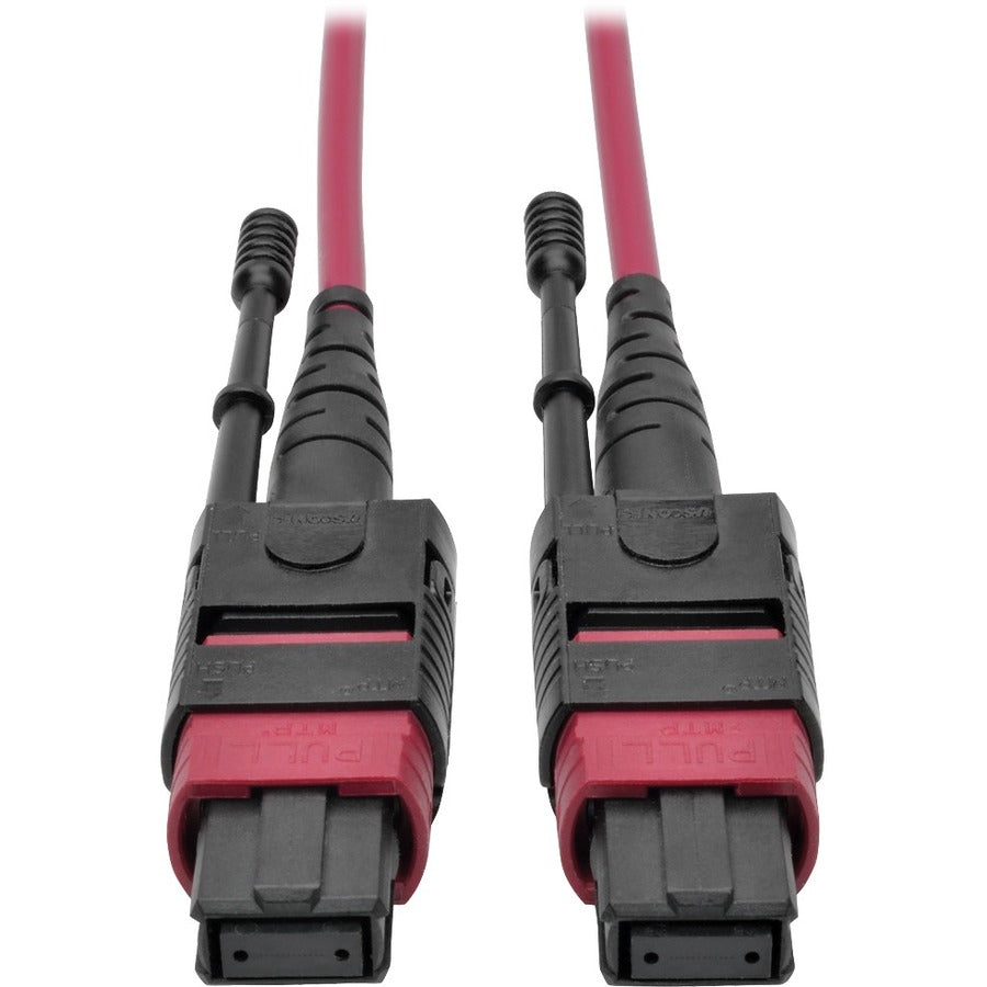 Tripp Lite 15M MTP MPO Multimode Patch Cable 12 Fiber 40/100Gb OM4 50/ 125 CMP - Fiber Optic for Network Device - 5 GB/s - Patch Cable - 49.21 ft - 1 x MTP/MPO Female Network - 1 x MTP/MPO Female Netw...  - N845-15M-12-MG - eCommerce Business Prime