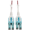 Tripp Lite 1M 10Gb Duplex Multimode Fiber Patch Cable 50/125 OM4 LC/LC LSZH - Fiber Optic for Network Device - 12.50 GB/s - Patch Cable - 3.28 ft - 2 x LC Male Network - 2 x LC Male Network - 50/125 &...  - N821-01M-MG-T - eCommerce Business Prime