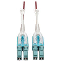 Tripp Lite 4M 10Gb Duplex Multimode Fiber Patch Cable 50/125 OM4 LC/LC LSZH - Fiber Optic for Network Device - 12.50 GB/s - Patch Cable - 13.12 ft - 2 x LC Male Network - 2 x LC Male Network - 50/125 ...  - N821-04M-MG-T - eCommerce Business Prime