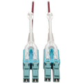 Tripp Lite 5M 10Gb Duplex Multimode Fiber Patch Cable 50/125 OM4 LC/LC LSZH - Fiber Optic for Network Device - 12.50 GB/s - Patch Cable - 16.40 ft - 2 x LC Male Network - 2 x LC Male Network - 50/125 ...  - N821-05M-MG-T - eCommerce Business Prime
