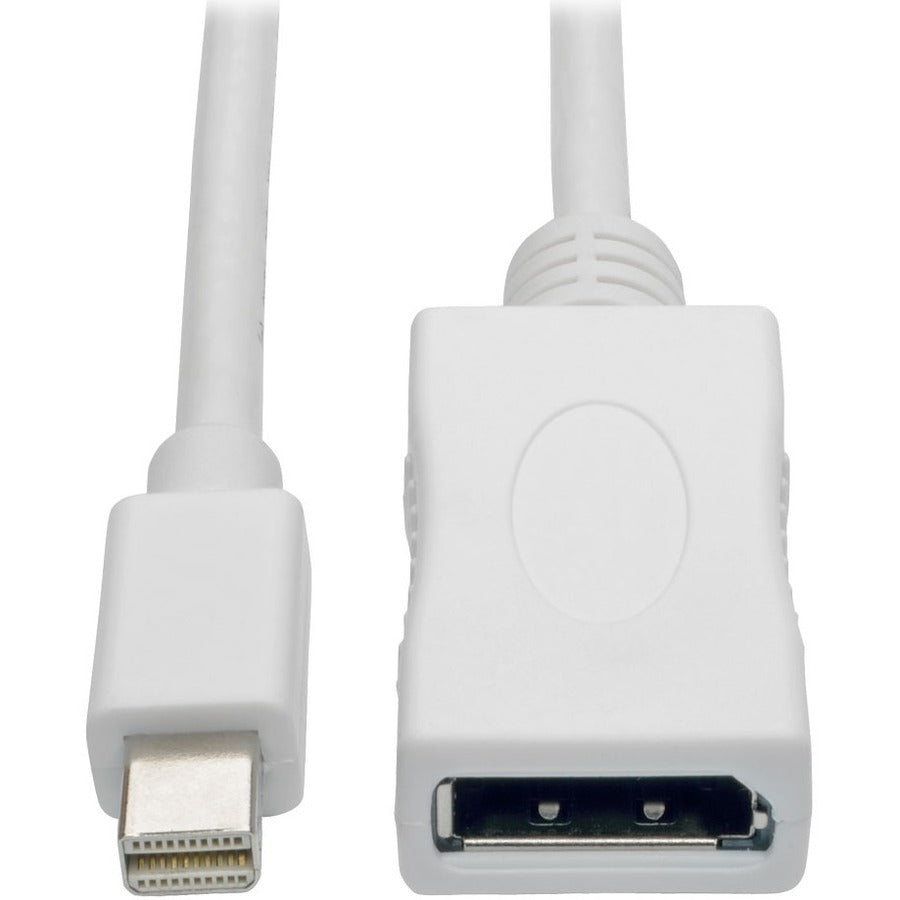 Tripp Lite 10ft Mini DisplayPort to DisplayPort Adapter Cable 4K x 2K M/F, MDP to DP 10' - DisplayPort/Mini DisplayPort for Audio/Video Device, Projector, TV, Monitor - 10 ft - 1 x Mini DisplayPort Ma...  - P139-010-DP-V2B - eCommerce Business Prime