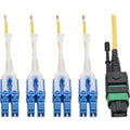 Tripp Lite MTP/MPO (APC) to 8xLC SMF Fiber Breakout Cable QSFP+ 40/100Gb 2M - Fiber Optic for Network Device, Switch, Hub, Router - 12.50 GB/s - Patch Cable - 6.56 ft - 1 x MTP/MPO Female Network - 8 ...  - N390-02M-8LC-AP - eCommerce Business Prime