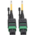 Tripp Lite MTP/MPO (APC) SMF Fiber Patch Cable 12 Fiber QSFP+ 40/100Gbe 7M - Fiber Optic for Network Device, Switch, Hub, Router, Patch Panel - 12.50 GB/s - Patch Cable - 22.97 ft - 1 x MTP/MPO Female - N390-07M-12-AP - eCommerce Business Prime