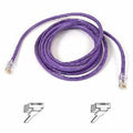 Belkin Cat5e Patch Cable - RJ-45 Male - RJ-45 Male - 2ft - Purple - A3L791-02-PUR - eCommerce Business Prime