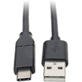 Tripp Lite USB C to USB-A Cable 3A Rating USB-IF Cert M/M USB Type C 13ft - Thunderbolt 3 for Computer, Mobile Phone, Car Charger, Wall Charger, Hard Drive, Charger, Hub, Tablet, MacBook, Ultrabook, C...  - U038-C13 - eCommerce Business Prime