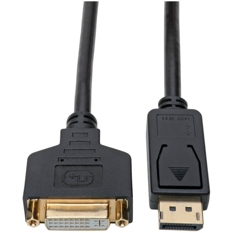 Tripp Lite DisplayPort to DVI Adapter Converter Cable M/F 1080p Black 1ft - 1 ft DisplayPort/DVI-I Video Cable for Video Device, Notebook, Desktop Computer, Chromebook, Monitor, Projector - First End:...  - P134-001-GC - eCommerce Business Prime