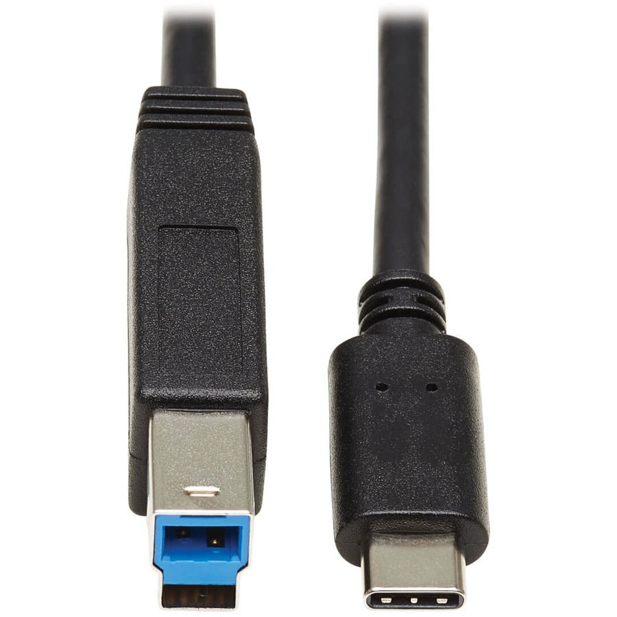Tripp Lite USB C to USB Type B Cable USB Type C 3.1 Gen 2, 10 Gbps M/M 20in - 1.67 ft USB-C/USB-B Data Transfer Cable for Printer, Hub, Notebook, MacBook, Chromebook, Ultrabook, Scanner, External Hard...  - U422-20N-G2 - eCommerce Business Prime