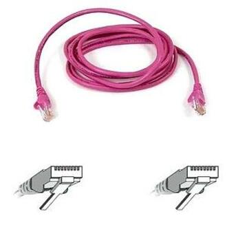 Belkin Cat. 5E UTP Patch Cable - RJ-45 Male - RJ-45 Male - 1ft - Pink - A3L791-01-PNK-S - eCommerce Business Prime