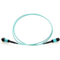Axiom MPO Female to MPO Female Multimode OM3 50/125 Fiber Optic Cable - 0.5m - 1.64 ft Fiber Optic Network Cable for Network Device, Backplane - First End: 2 x MPO Network - Female - Second End: 2 x M...  - MPOFFOM30.5M-AX - eCommerce Business Prime