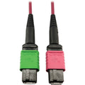 Tripp Lite Multimode Fiber Optic Cable 400G OM4 MTP/MPO-APC to MTP/MPO-UPC F/F 1M - 3.28 ft Fiber Optic Network Cable for Network Device, Transceiver, Network Switch, Patch Panel - First End: 1 x MTP/...  - N846D-01M-16BMG - eCommerce Business Prime