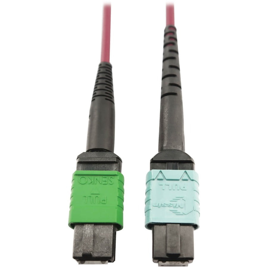 Tripp Lite Multimode Fiber Optic Cable 400G MTP/MPO-APC to 24F MTP/MPO-UPC F/F 1M - 3.28 ft Fiber Optic Network Cable for Network Device, Transceiver, Network Switch, Patch Panel - First End: 1 x MTP/...  - N846D-01M-16CMG - eCommerce Business Prime