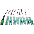 Tripp Lite Multimode Fiber Optic Breakout Cable 16F MTP/MPO-APC to x8 LC F/M 1M - 3.28 ft Fiber Optic Network Cable for Network Device, Transceiver, Network Switch, Patch Panel - First End: 1 x MTP/MP...  - N846D-01M-16EMG - eCommerce Business Prime